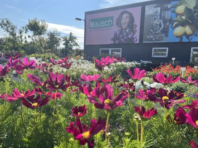Gebäude von Blumenparadies Bausch mit Blumen Beet
