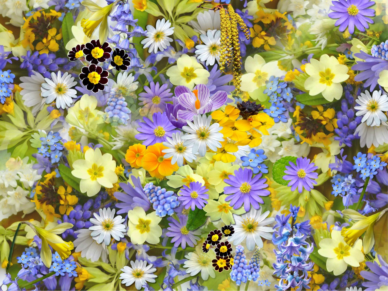 Buntes Blumen Beet